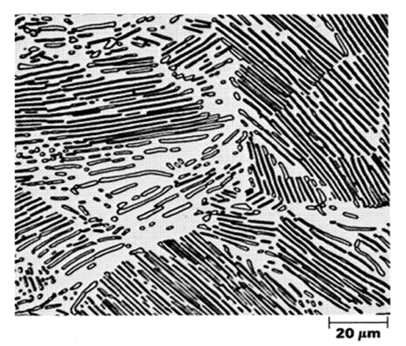 Microestrutura